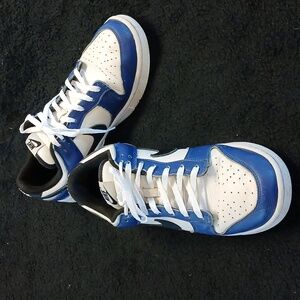 🐞 NIKE DUNK LOW RETRO   Blue and White Sneakers